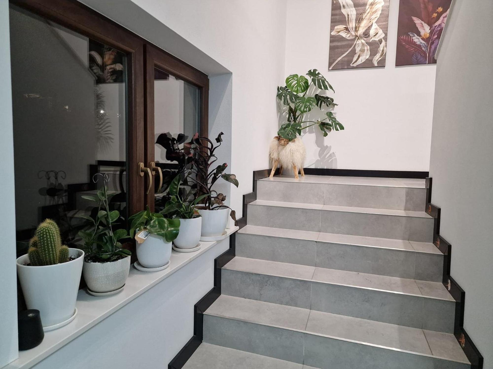 Male Ciche 36J Przy Ostrewkach, Widok Na Gory, Blisko Do Wyciagu Narciarskiego, Idealne Miejsce Na Wypad W Gory -Tarasowka-Zgorzelisko-Rusinowa Polana-Gesia Szyja-Palenica-Wiktorowki-Morskie Oko 穆扎希赫尔 外观 照片